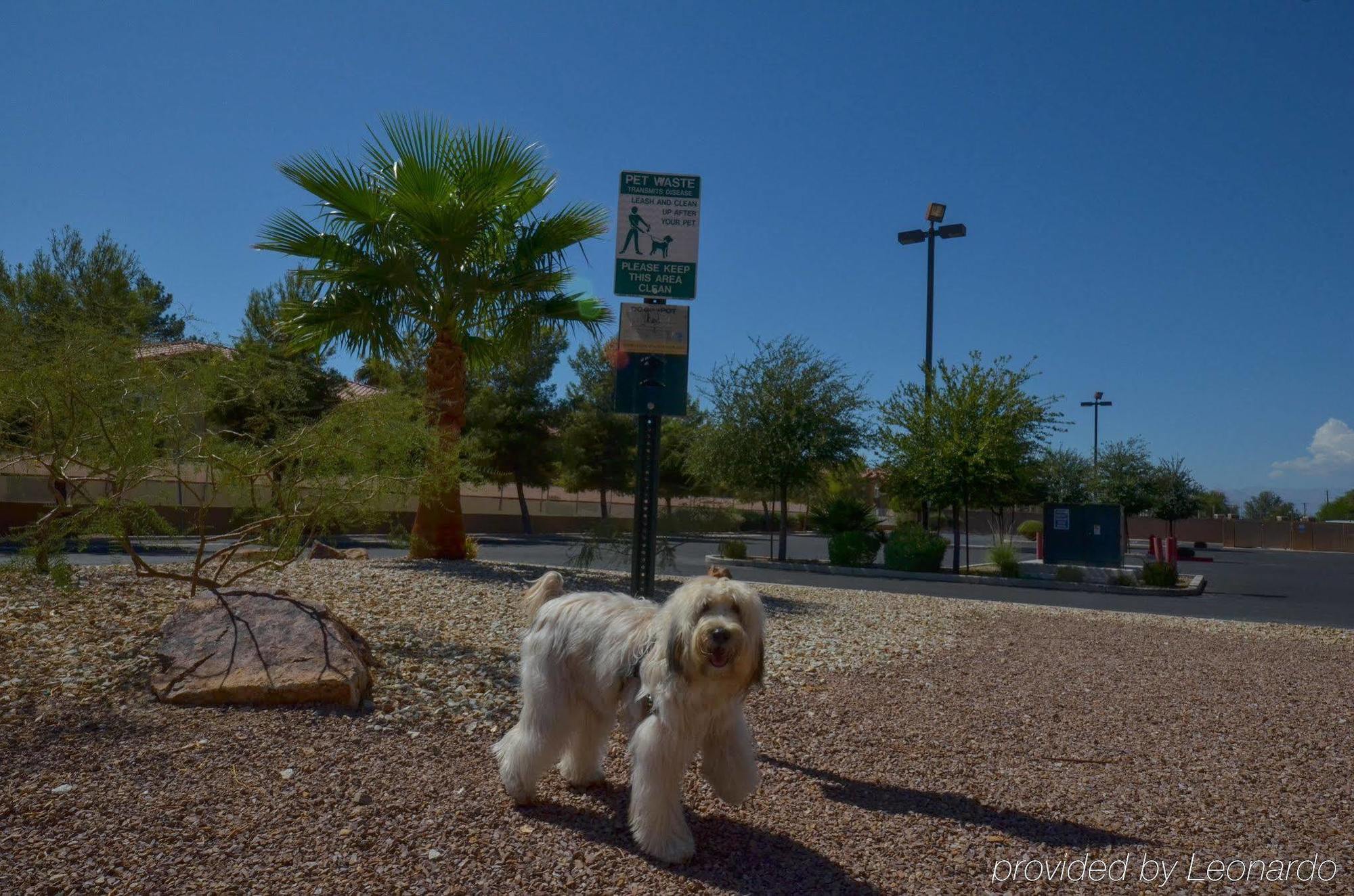 Holiday Inn Express Las Vegas-Nellis By Ihg Екстериор снимка